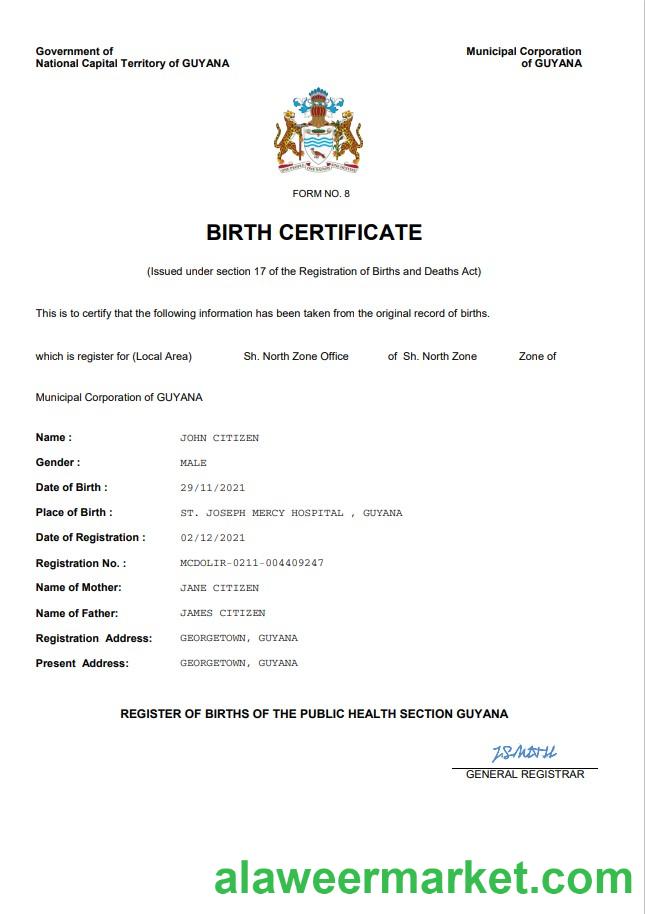 Guyana vital record birth certificate Word and PDF template